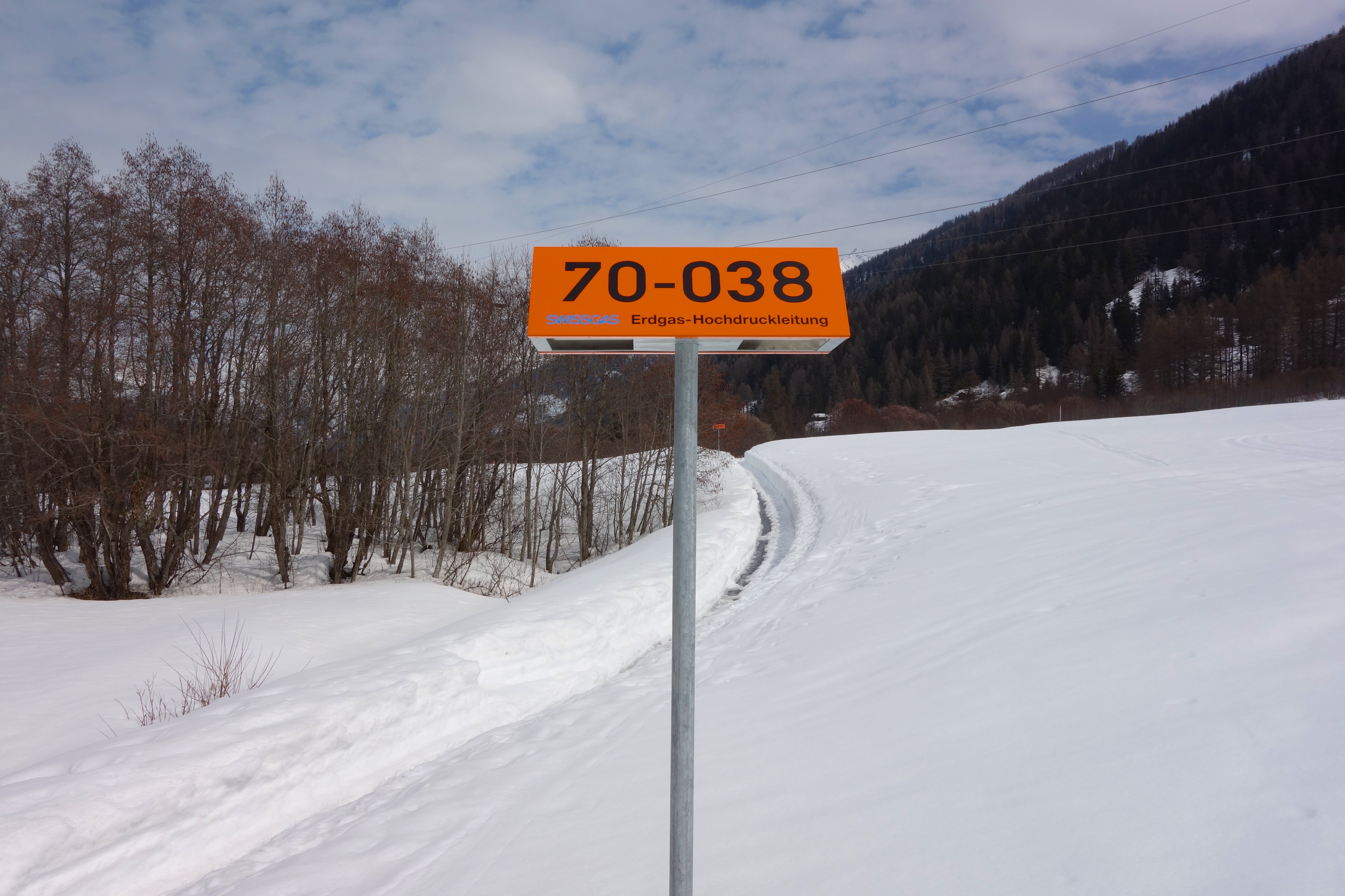 DSC01089 (1).jpg