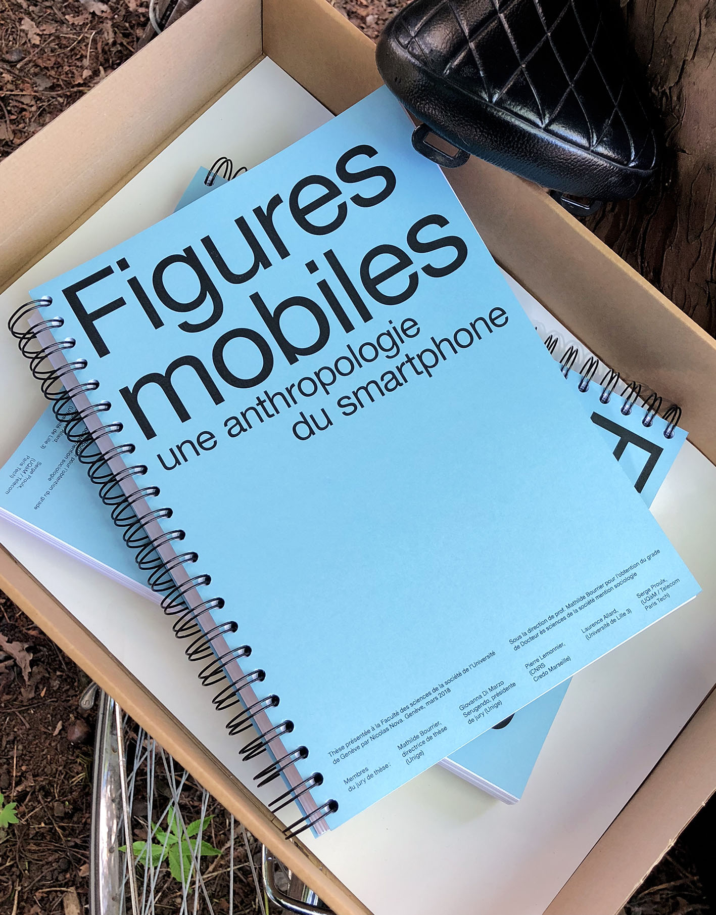 figures-mobiles1.jpg
