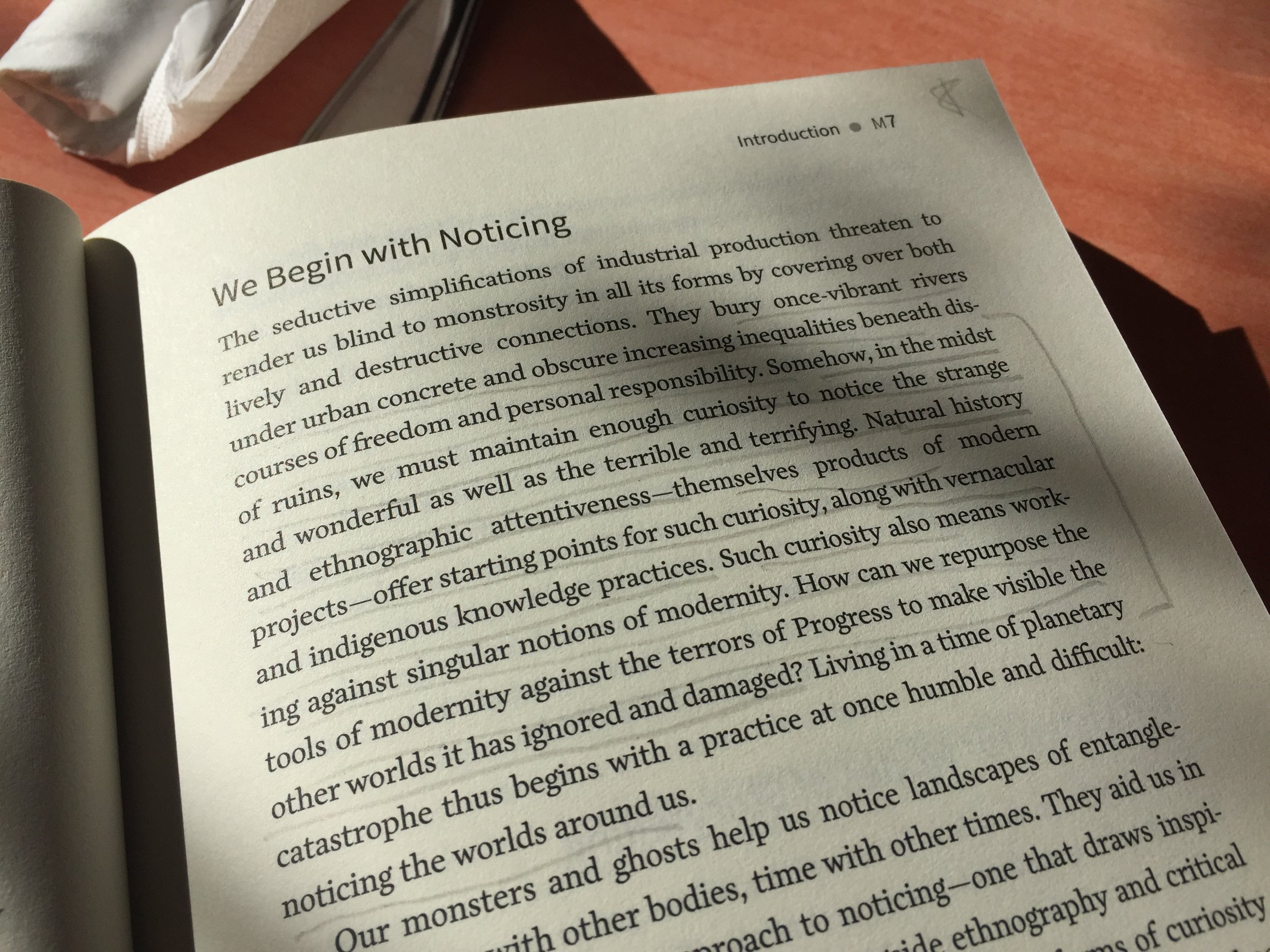 noticing