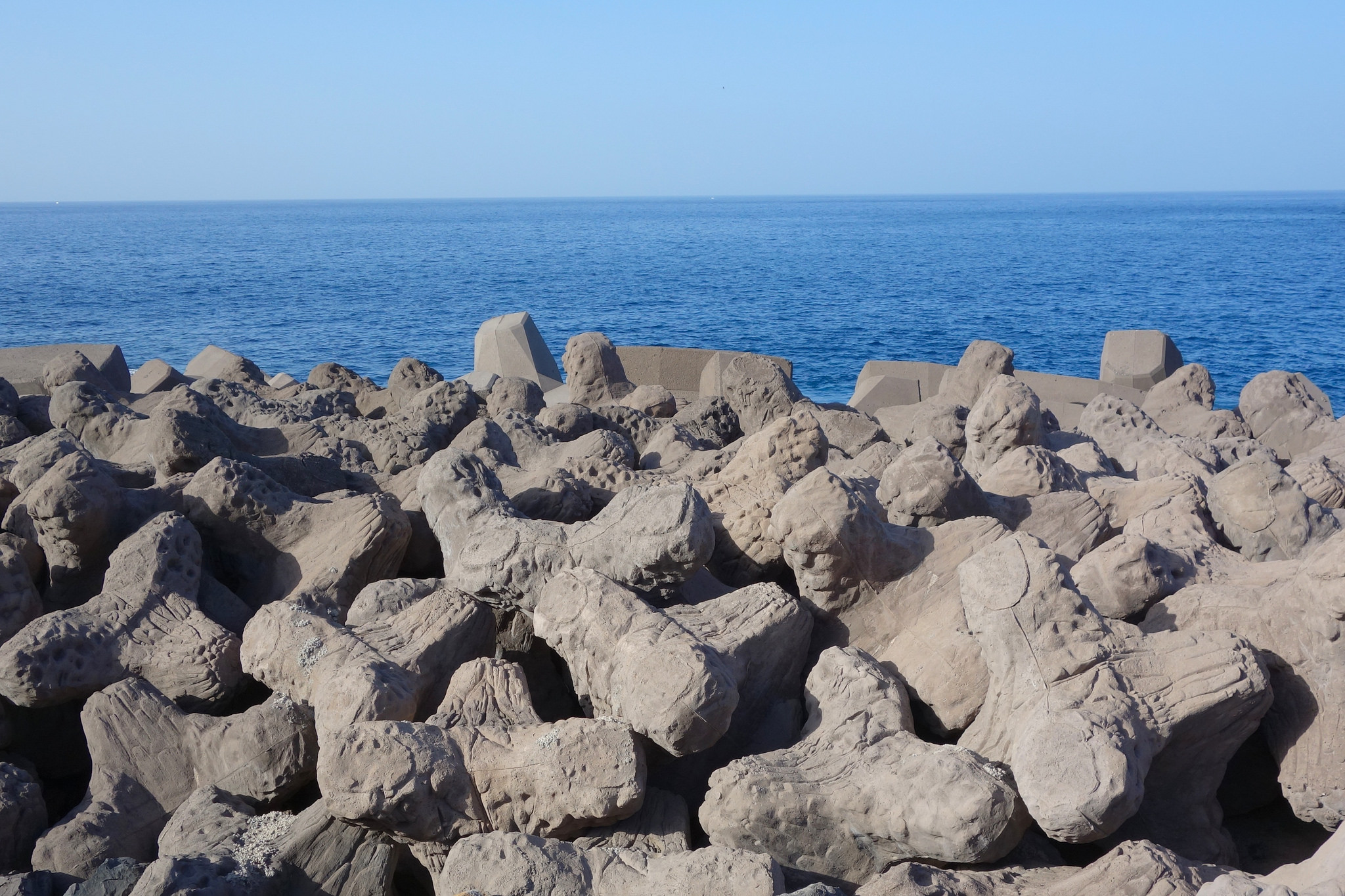 tetrapod1