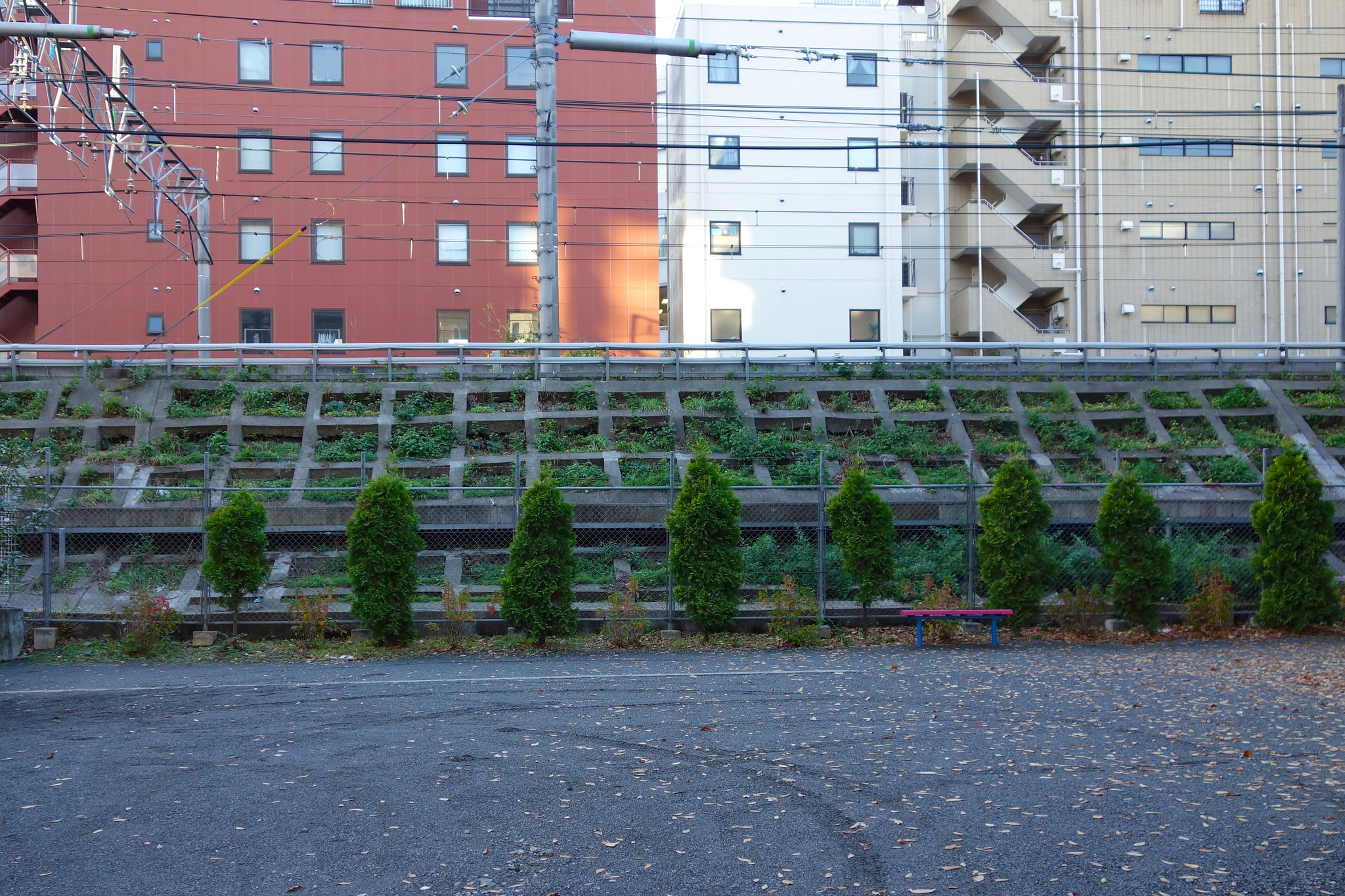tokyo-cemetary